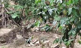 Imagem 6: Vendo ou troco casa