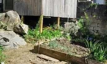 Imagem: Casa com excelente custo-benefício no Bairro