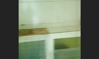 Imagem 4: Aluga-se uma casa