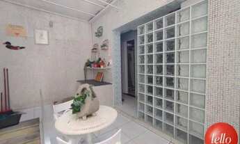 Imagem 4: São Paulo - Casa Comercial - Tatuapé