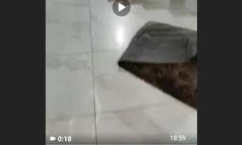 Imagem 3: Casa Casa com 5 dormitórios