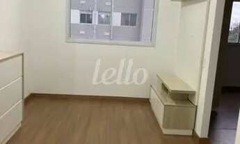 Imagem: São Paulo - Apartamento Padrão - Cambuci