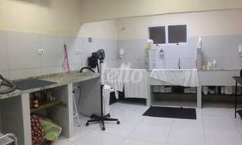 Imagem 7: São Paulo - Casa Comercial - Brooklin