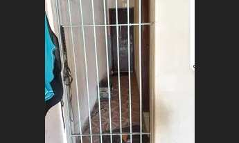 Imagem 3: Venda Casa com 2 dormitórios