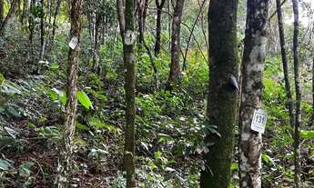 Imagem 2: Lote à venda, VEREDAS DAS GERAES - Nova Lima/MG