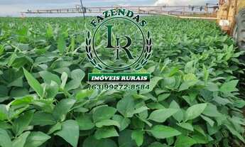 Imagem: Fazenda 365 alqueires, 1.766 hectares, Área