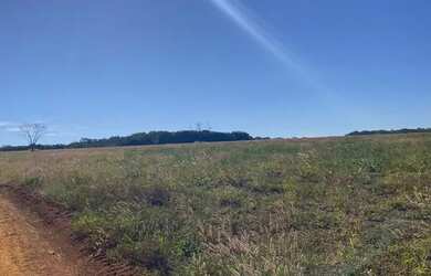 Imagem 3: Fazenda sentido Leopoldo Bulhões na GO330