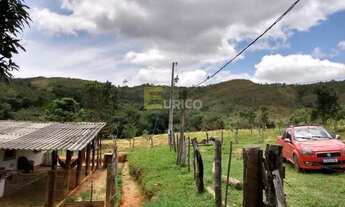 Imagem 4: FAZENDA A VENDA OLHOS DAGUA MINAS GERAIS