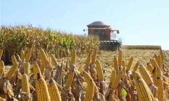 Imagem: 134 Alq. Em Lavoura - Piracanjuba/GO