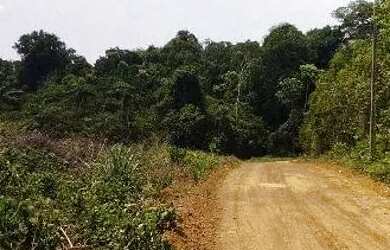 Imagem 2: /Lote em Açutuba com 4000 m2