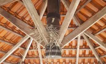 Imagem 6: Chácara Aragoiania 5 mil metros!! ESCRITURADA!!