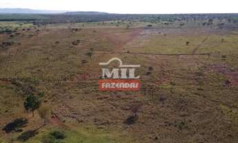 Imagem 4: Fazenda em Engº Navarro-MG