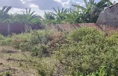 Imagem 4: Terreno 12x25 Oliveira brito