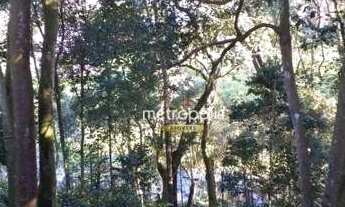 Imagem 4: Terreno à venda, 8338 m² por R$ 400.000,00 - Parque Botujuru - São Bernardo do Campo/SP