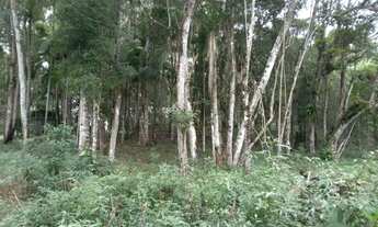 Imagem 5: Terreno de 2 mil mts 77 mil reais plaino