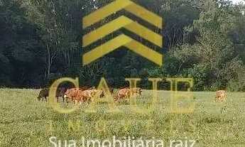 Imagem 7: Imóvel para venda tem 40000 metros quadrados em Águas Claras - Viamão - RS