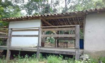 Imagem 5: Excelente sítio, 10 hectares, com casa principal e casa de hóspedes