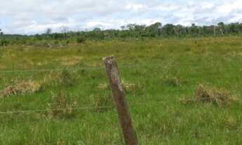 Imagem 2: Terra com 105ha aceito carro e casa