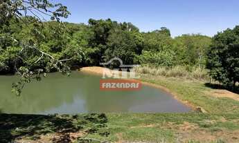 Imagem 5: Excelente Chácara 3 alqueires ( 14.52 hectares ) Bela Vista de Goiás