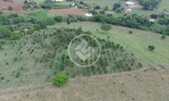 Imagem 3: REF: Office1099 Fazenda em Nerópolis/Ouro verde com 5,6 Alqueires, Goiás. codigo: 23029