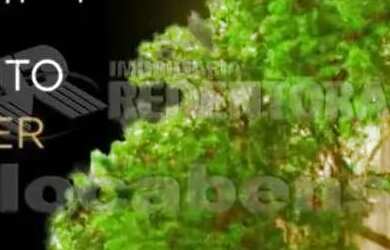 Imagem 4: Terreno Padrão em São José do Rio Preto