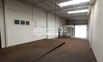 Imagem 2: Galpão para aluguel, Santa Mônica - Uberlândia/MG