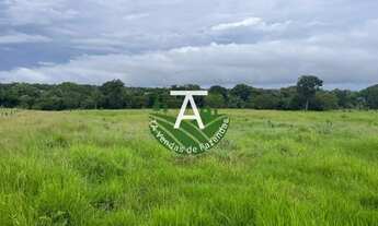 Imagem 3: 55 alq em Crixas GO