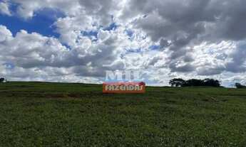 Imagem 2: Chácara 4 alqueires (19,72 hectares) Goianira -Go