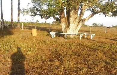 Imagem: Lindos terrenos próximos de São Gonçalo