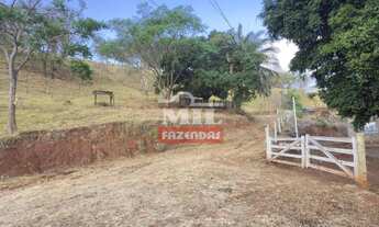 Imagem 5: Chácara 21.000 m² Ouro Verde - Go