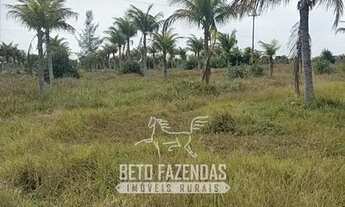 Imagem 5: Imóvel para venda tem 3000800 metros quadrados em Centro - Quissamã - RJ