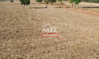 Imagem 6: Chácara 2,65 alqueires (12,83 hectares) Palmeiras De Goiás - Go