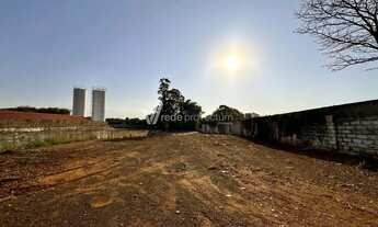 Imagem 6: área - Parque da Figueira - Paulínia