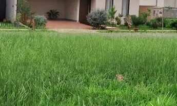 Imagem 4: Imóvel para venda possui 493 metros quadrados de lote 15frente X 25 lateral