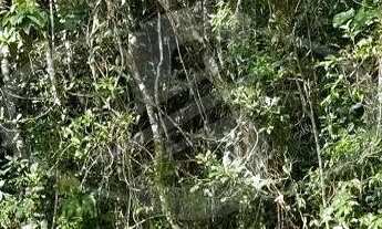 Imagem 4: TERRENO DE 1.702 M² EM EMBU-GUAÇU/SP