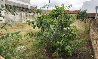 Imagem 3: Terreno à venda, 300 m² por R$ 260.000 - Santa Marta - Uberaba/MG