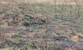 Imagem: Área Comercial - Anápolis