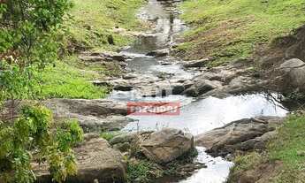 Imagem 5: Chacara 11 alqueires (53,24 hectares) araçu - Go