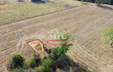 Imagem 7: Chácara 2,65 alqueires (12,83 hectares) Palmeiras De Goiás - Go