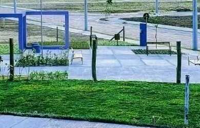 Imagem 5: Terreno em Canasvieiras