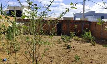 Imagem 4: Lote todo murado no bairro Delfino Magalhães