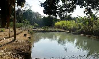 Imagem 7: Chácara px Anápolis