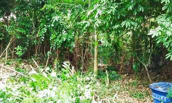 Imagem: Open House vende Oportunidade Imperdível