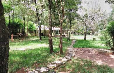 Imagem 4: Chácara para venda tem 5000 metros quadrados com 3 quartos em Zona Rural - Hidrolândia - G