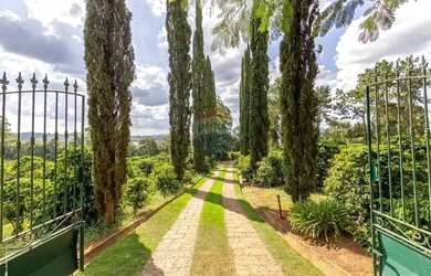Imagem: Sitio com 20.000 pés de café a venda