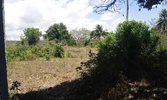 Imagem: TERRENO NO MOSQUEIRO - MATAPOÃ 26257