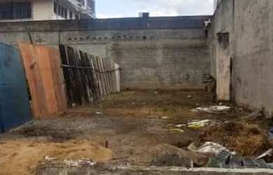 Imagem 3: Terreno reserva do bosque