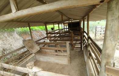 Imagem 3: Vendo chácara aceito carro como parte do pagamento