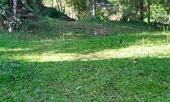 Imagem 6: Terreno em rancho queimado