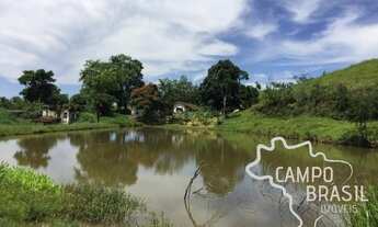 Imagem 3: Campo Brasil Imóveis, realizando seu sonho rural! Fazenda de 150aq no Vale do Paraíba